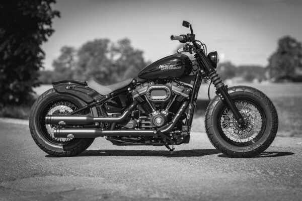 Cruiser Fork Option A